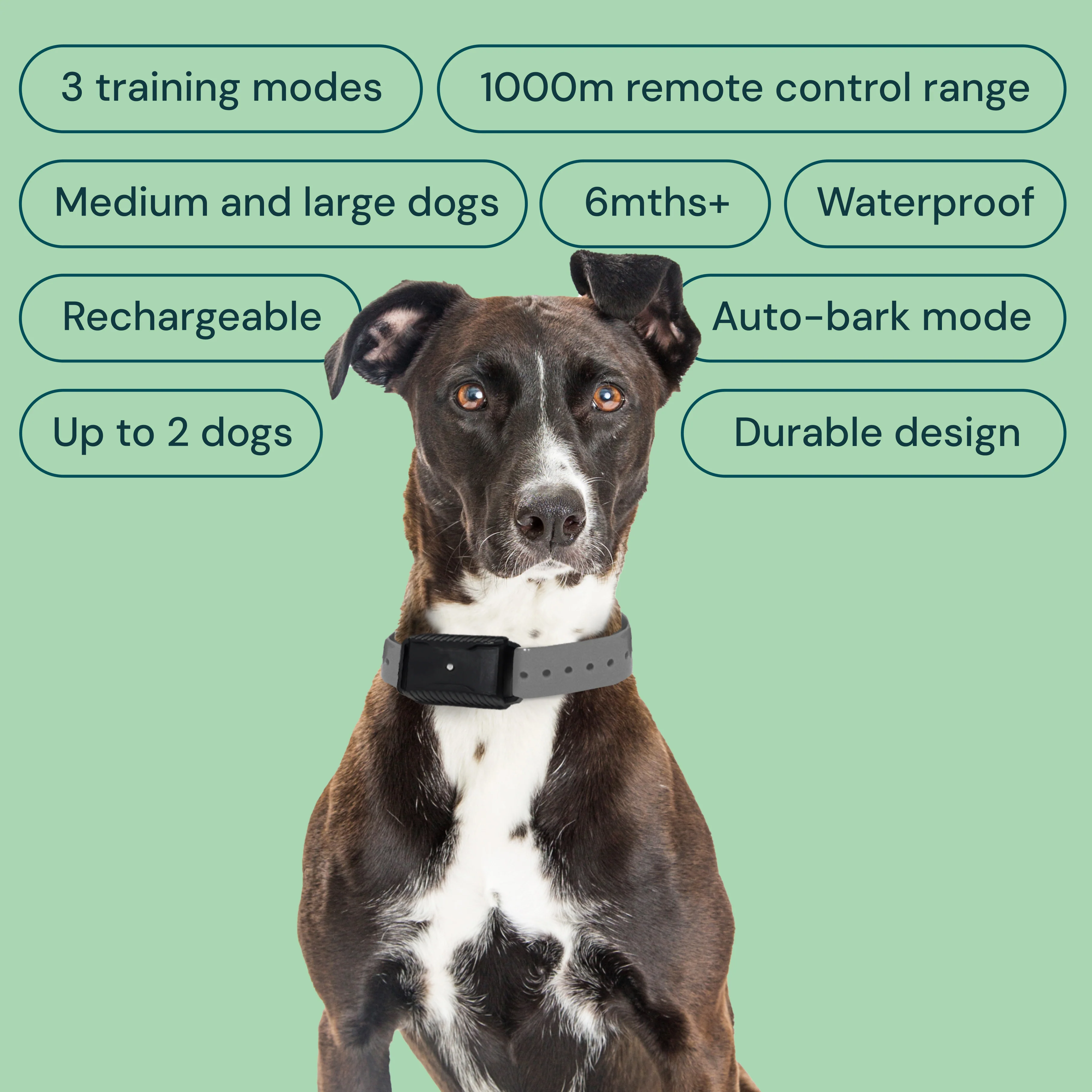 AETERTEK AT-918C Dog Remote Training Collar with Auto-Bark - Image 3