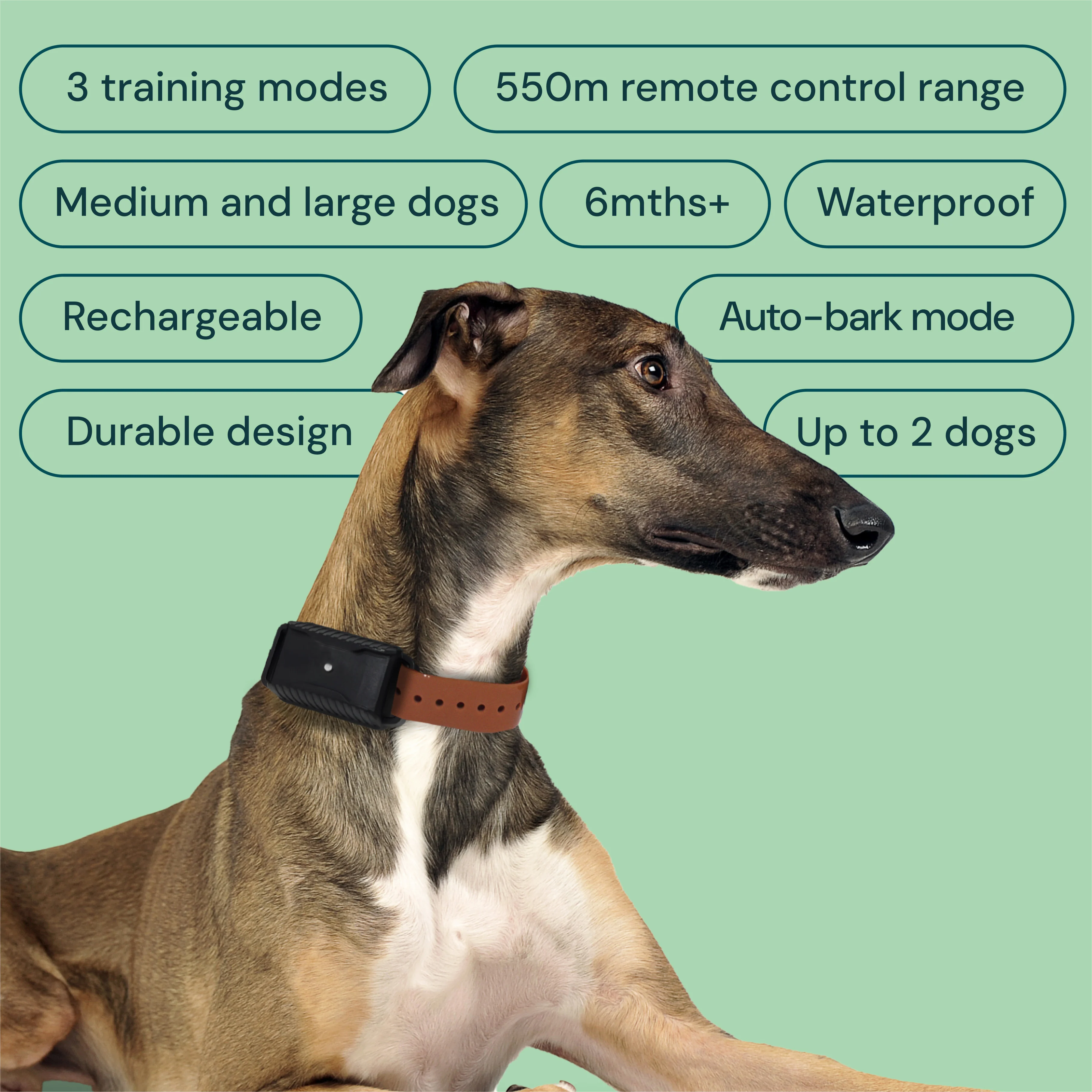 AETERTEK AT-919C Remote Training Collar with Auto-Bark - Image 3