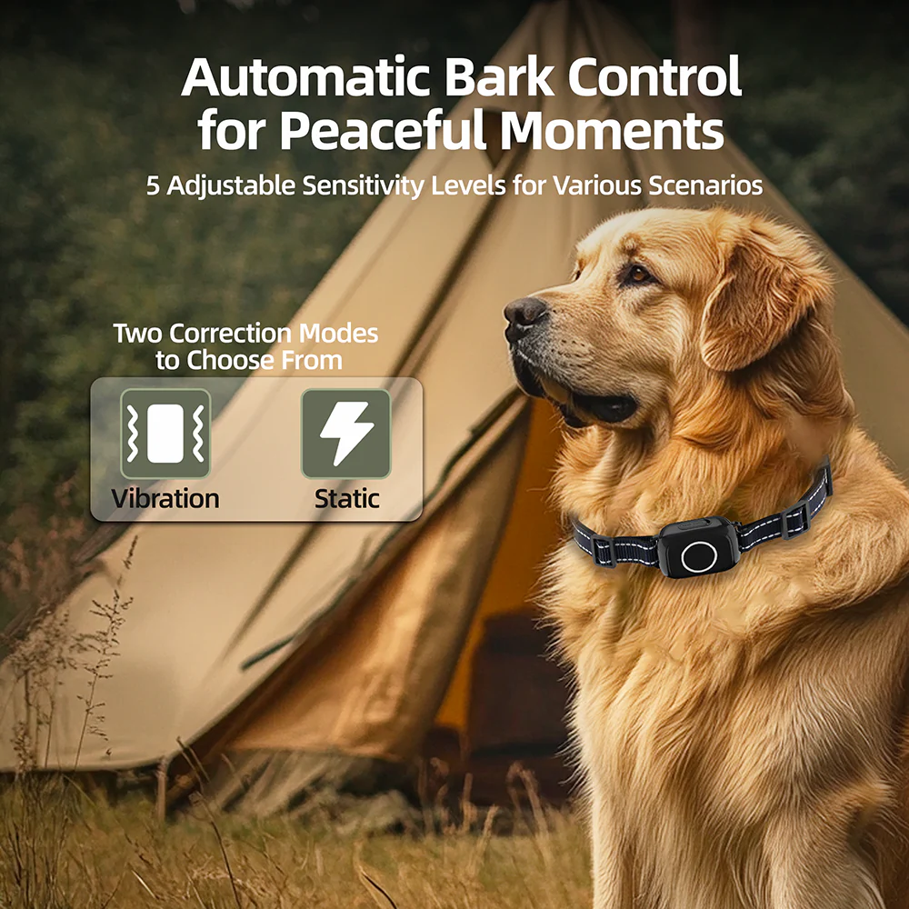 Barktec 2-in-1 Anti-Bark and Remote Training Collar - Image 3
