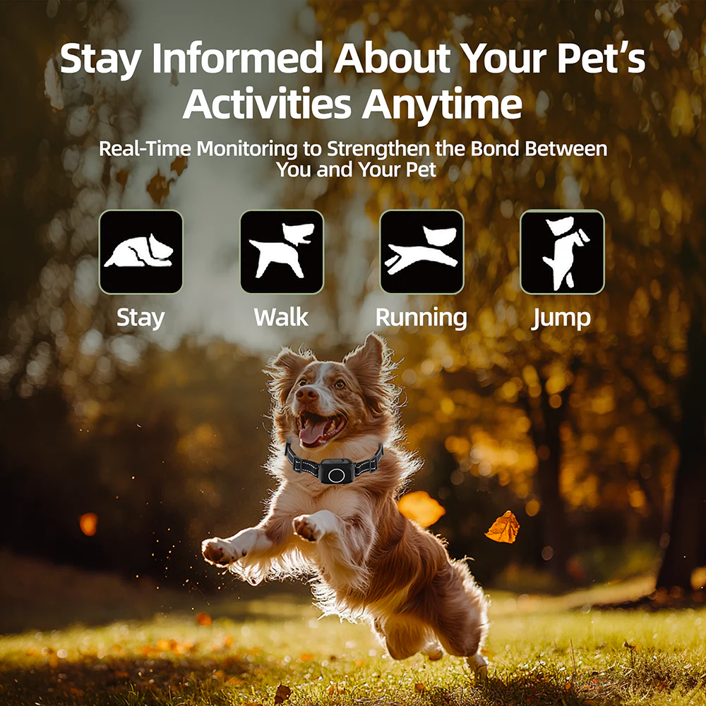 Barktec 2-in-1 Anti-Bark and Remote Training Collar - Image 6