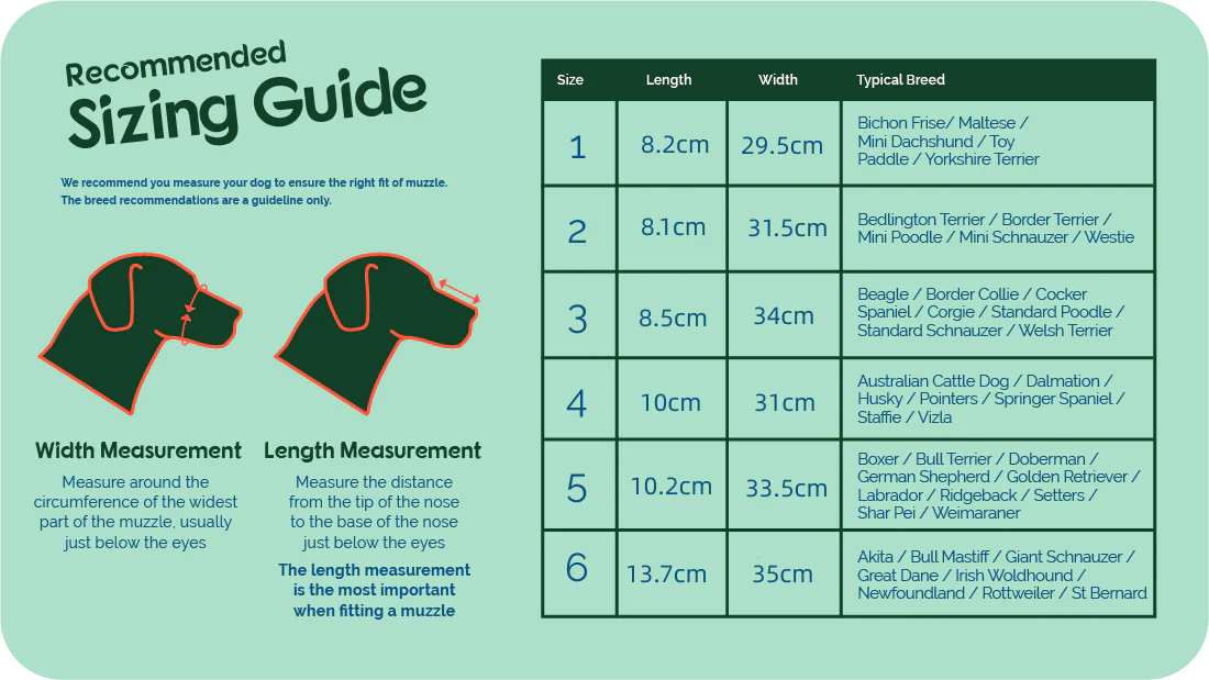 Barktec Anti-barking Leather Dog Muzzle - Image 4