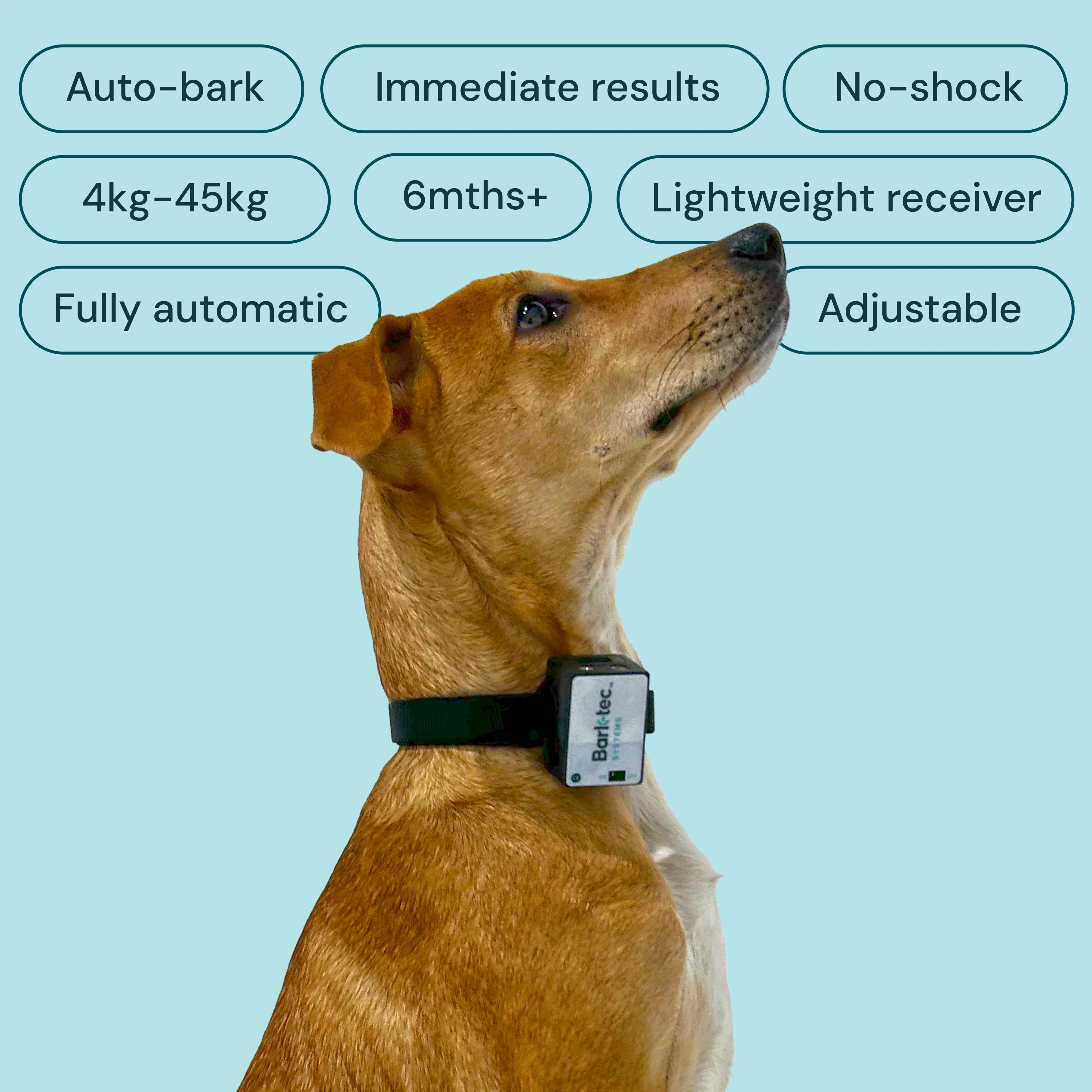 Barktec BT-100 - Citronella Bark Collar with Refill - Image 3
