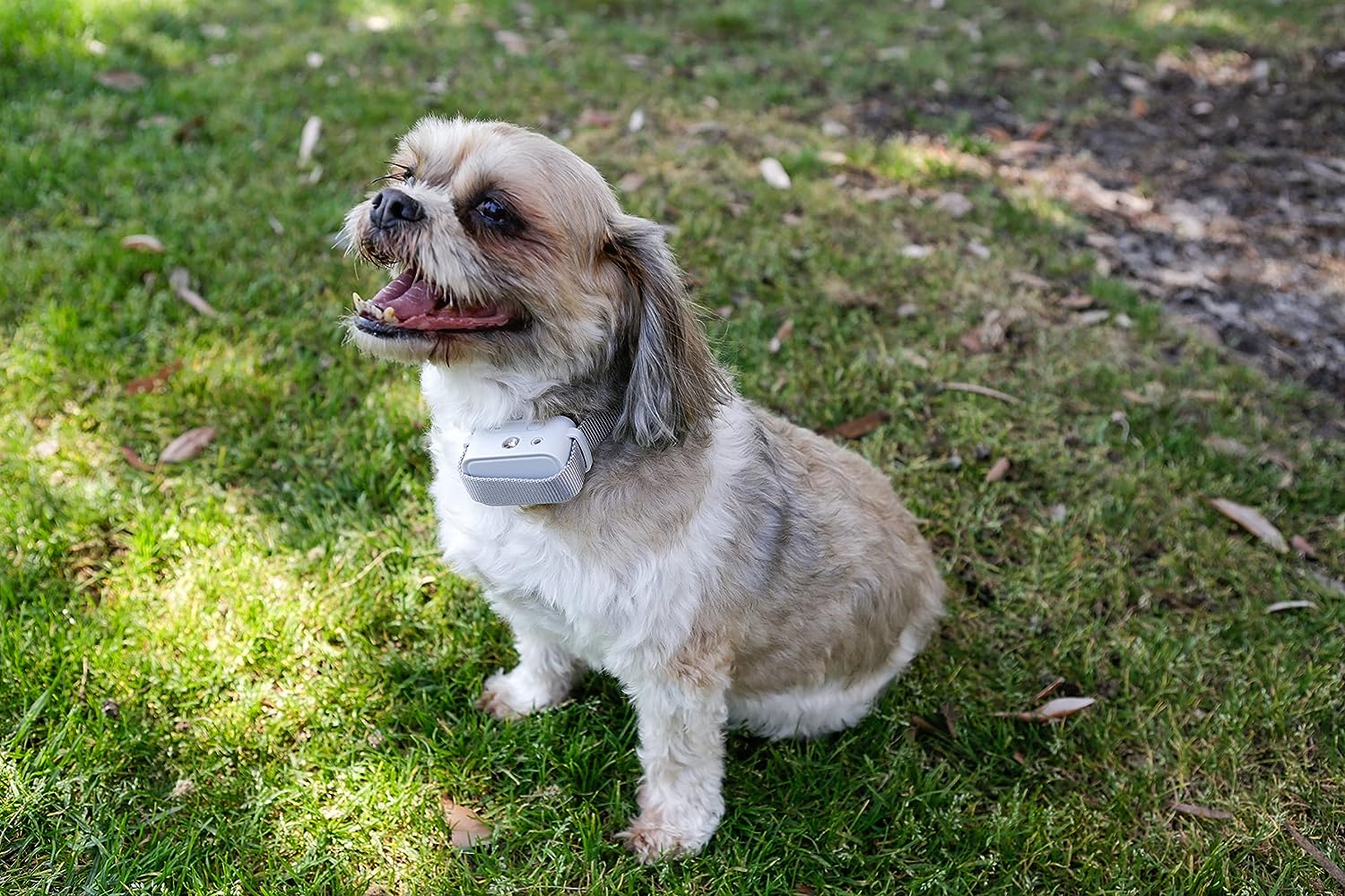 Barktec Citronella Spray Collar with Remote - Image 6