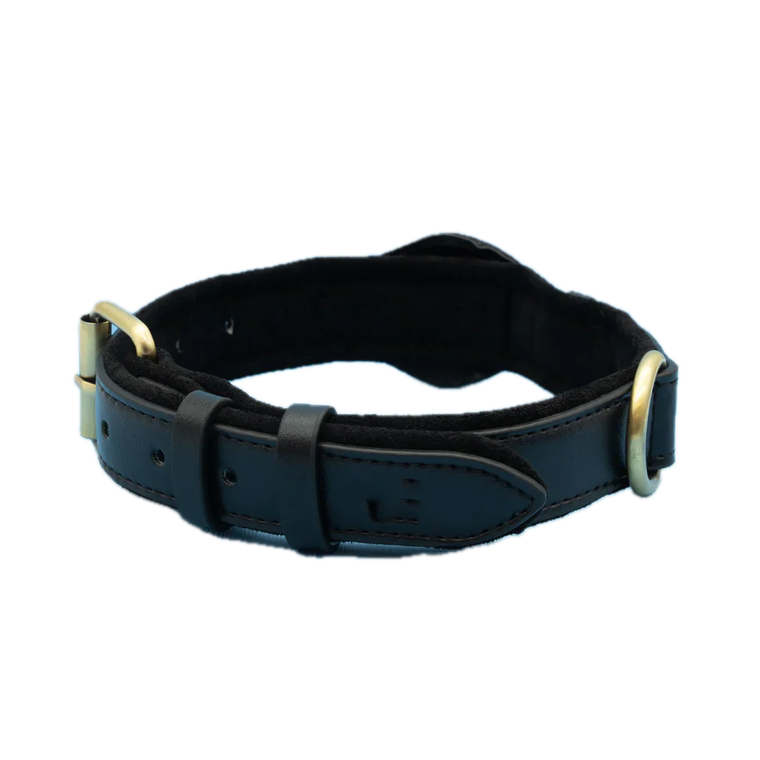 Barktec Leather Collar for Smart Dog Tracker - Image 3