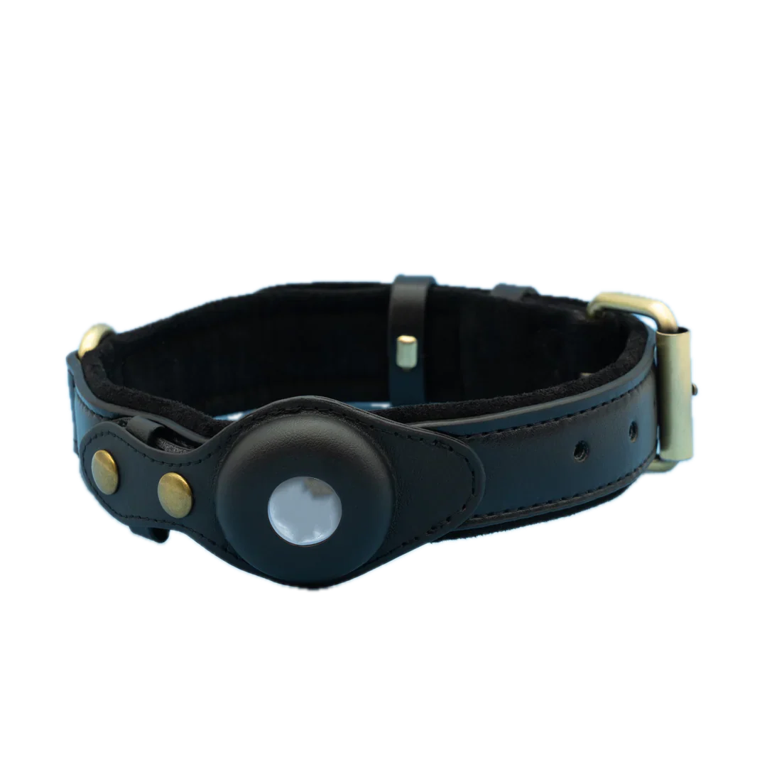 Barktec Leather Collar for Smart Dog Tracker - Image 5