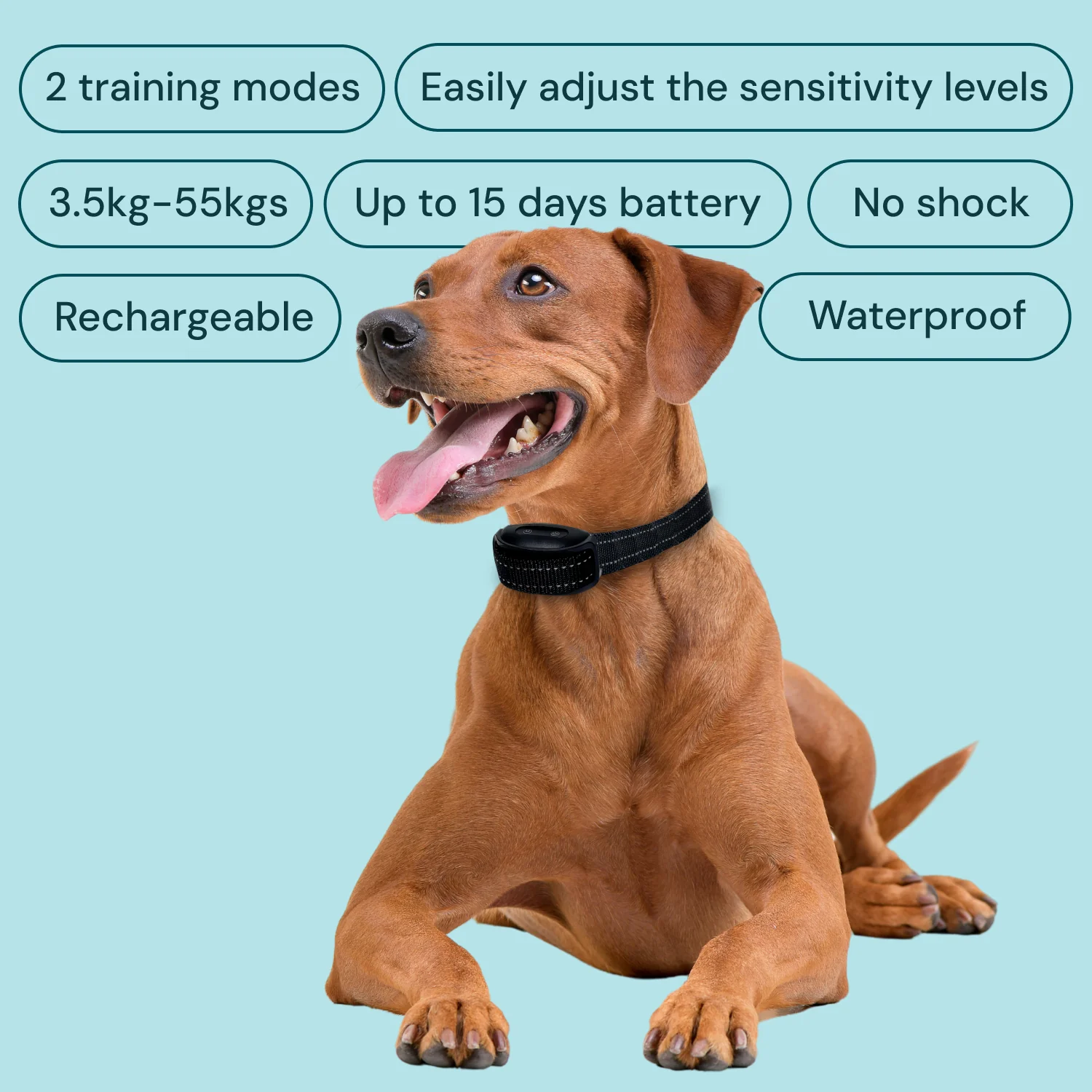 Barktec No-Shock Anti-Bark Collar with Dual Vibration - Image 3