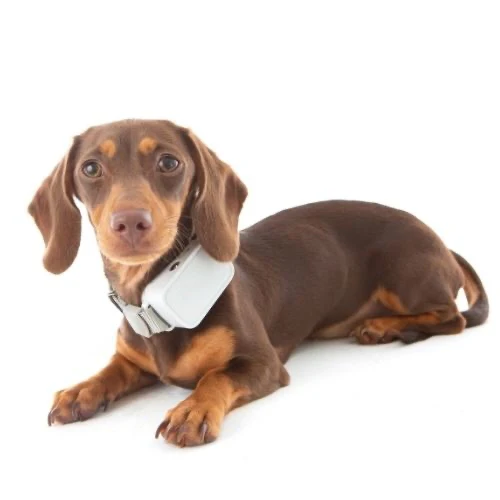 Barktec Rechargeable Sound & Citronella Spray Collar Ultimate Kit - Image 6