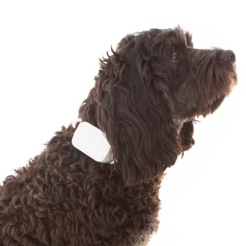 Barktec Rechargeable Sound & Citronella Spray Collar Ultimate Kit - Image 7