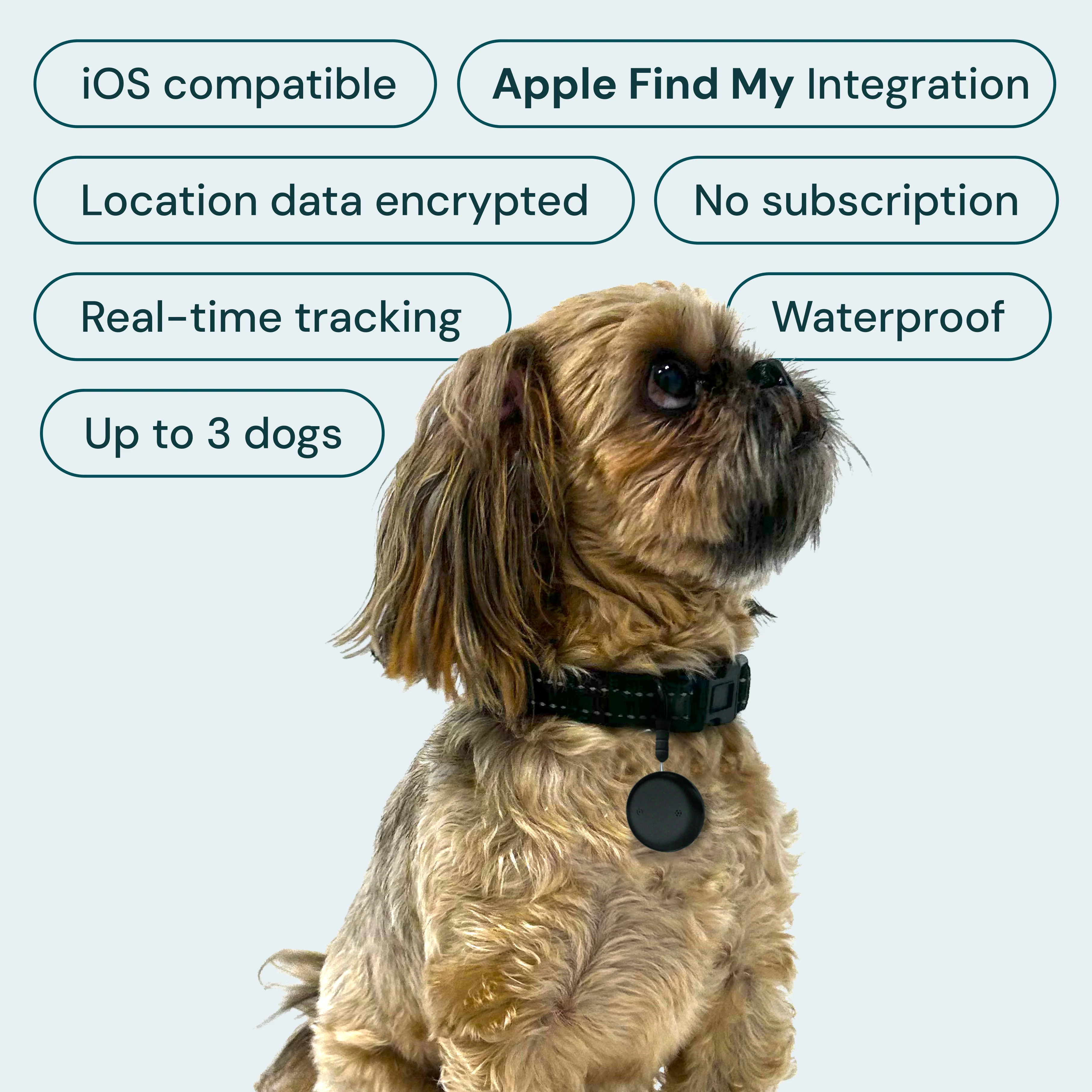 Barktec TrackEasy Leather Collar & Smart Dog Tracker Set - Image 6