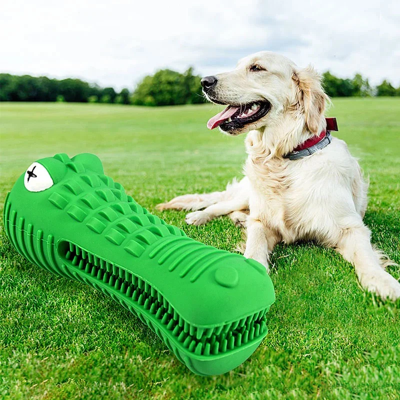Tough & Squeaky Crocodile Dog Toy - Image 14