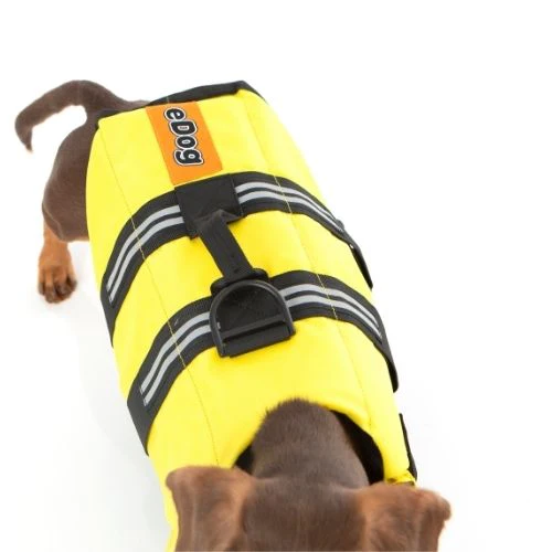 Dog Life Jacket - Image 4