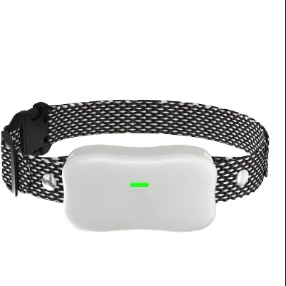 Extra Collar for 2-in-1 Super Long Range Training & Fence Collar