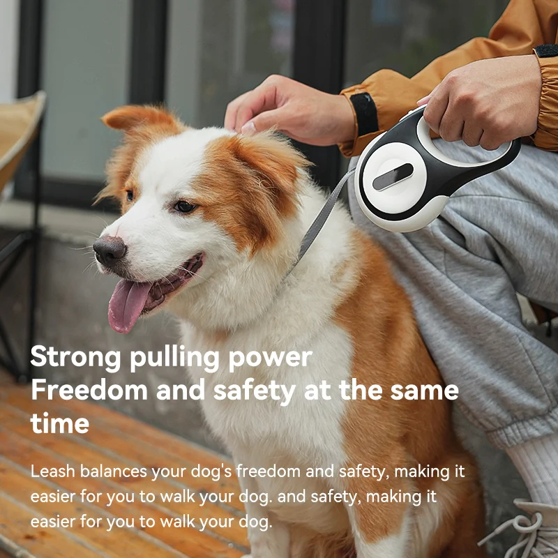 Gramophone Retractable Dog Leash With Light - Green - Image 4