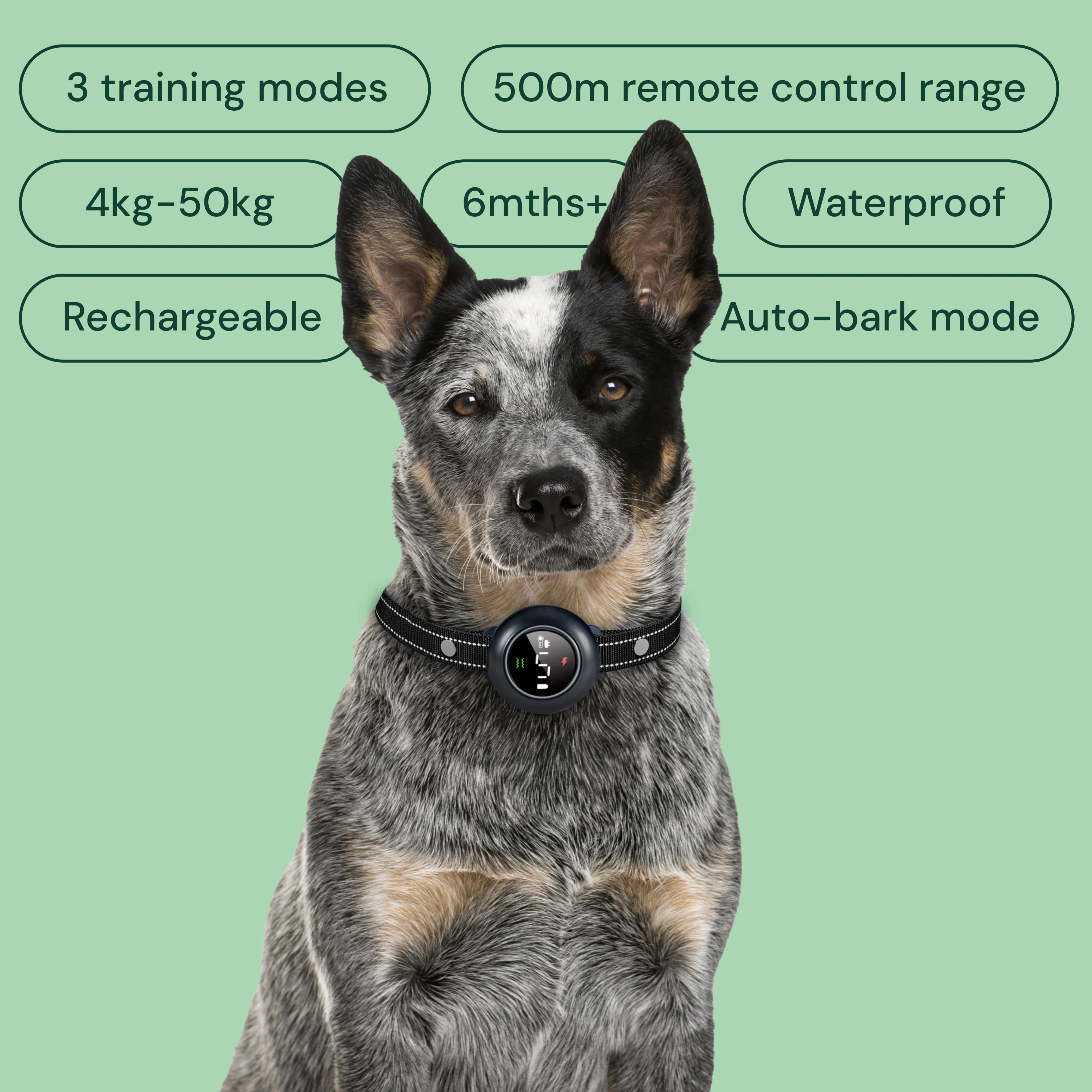 Houndware 2-in-1 Pro Anti-Bark & Remote Training Collar - Upgrade - Image 3