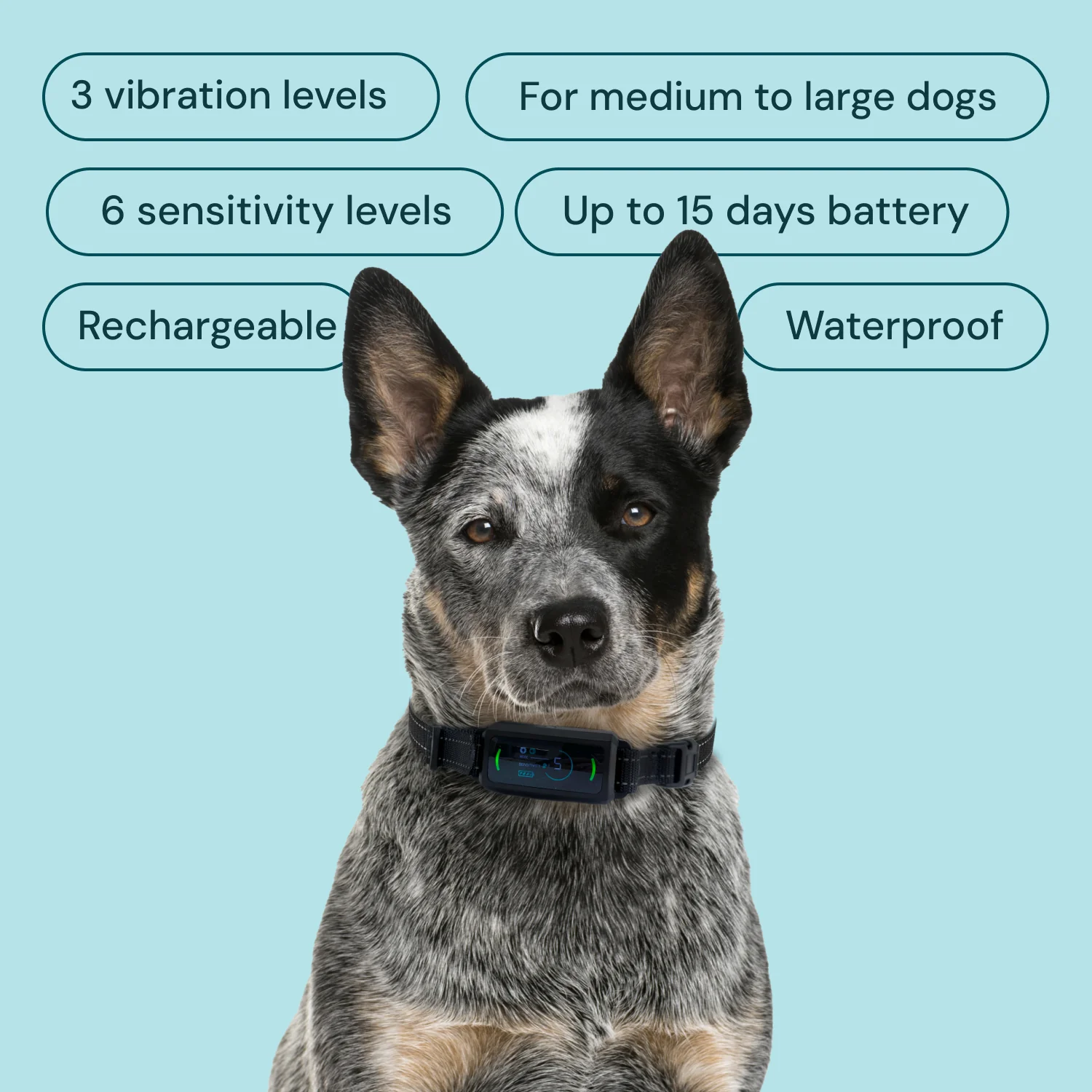 Houndware Advanced Shock Bark Control Collar For Stubborn, Medium to Large Dogs - Image 3