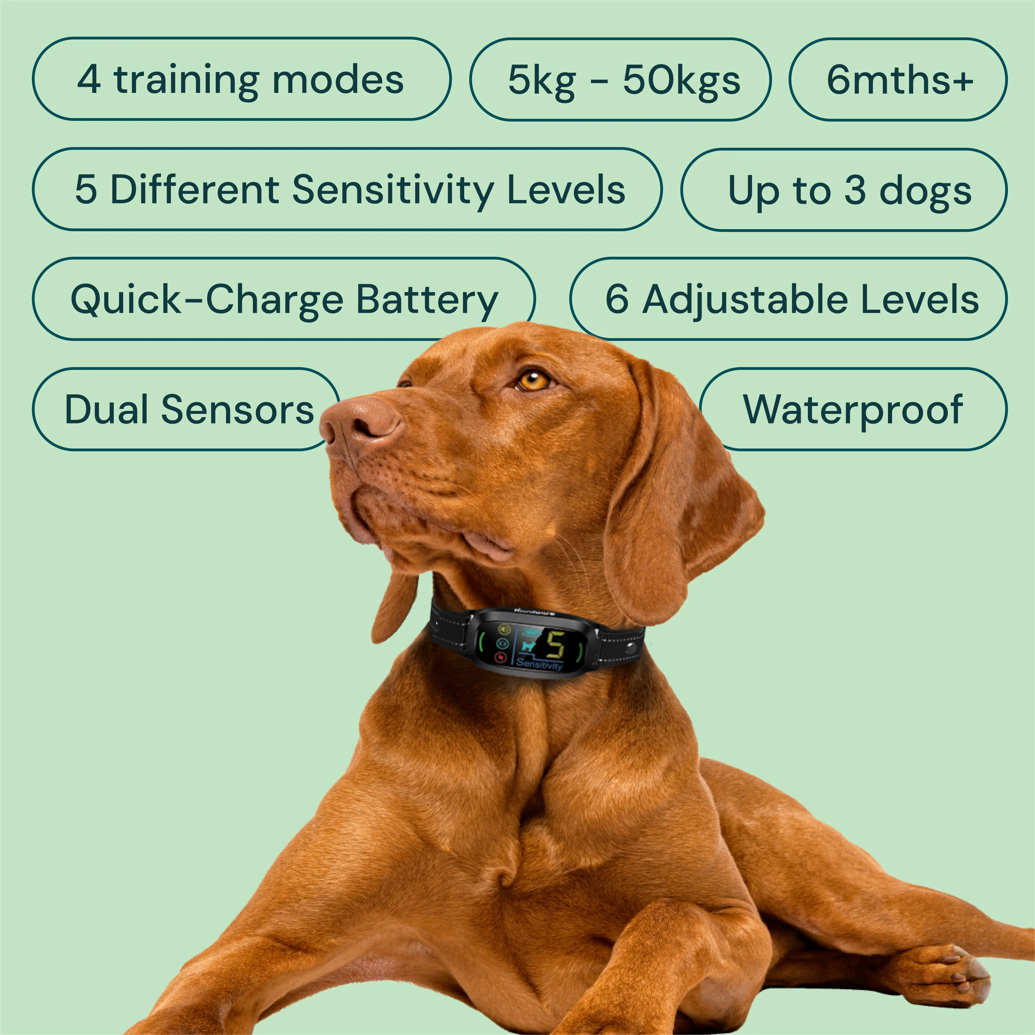 Houndware Multi-Functional Anti-Bark Collar - Image 3