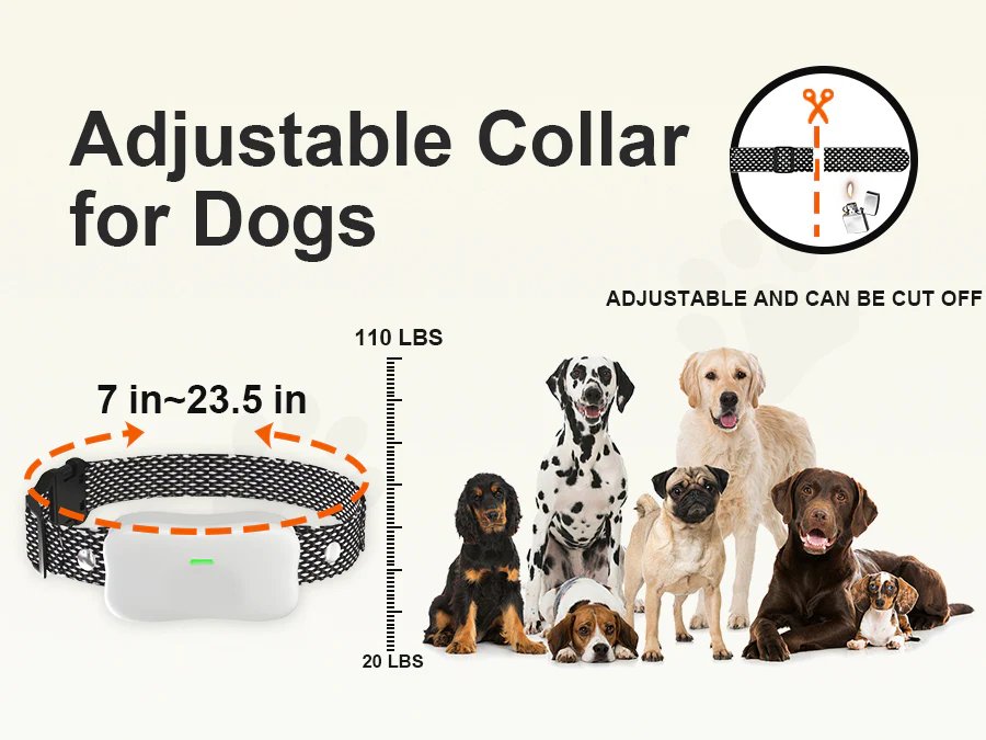 Houndware BoundWise Pro - 2-in-1 Wireless Dog Fence & Training Kit - Image 12