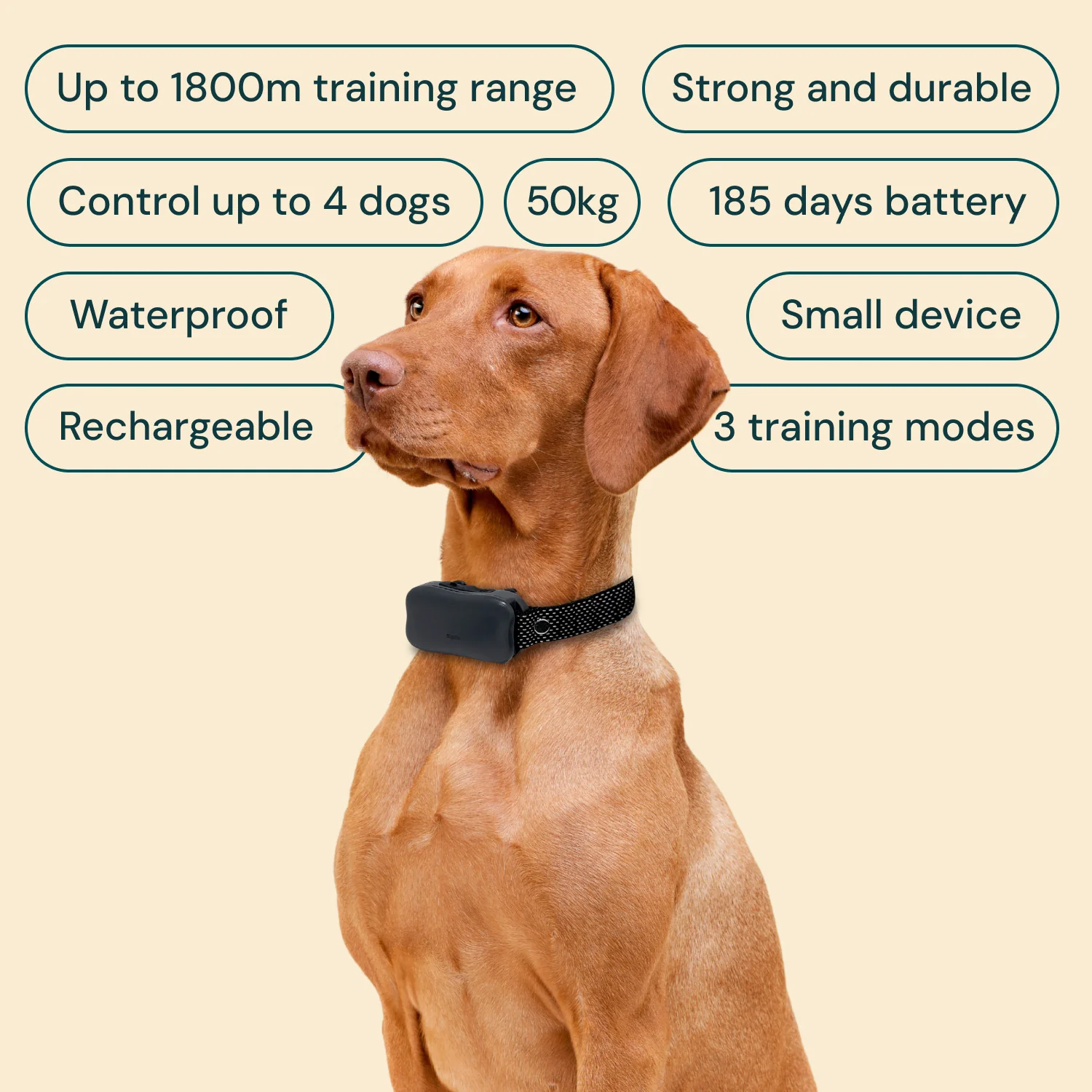 Houndware BoundWise Pro - 2-in-1 Wireless Dog Fence & Training Kit - Image 3