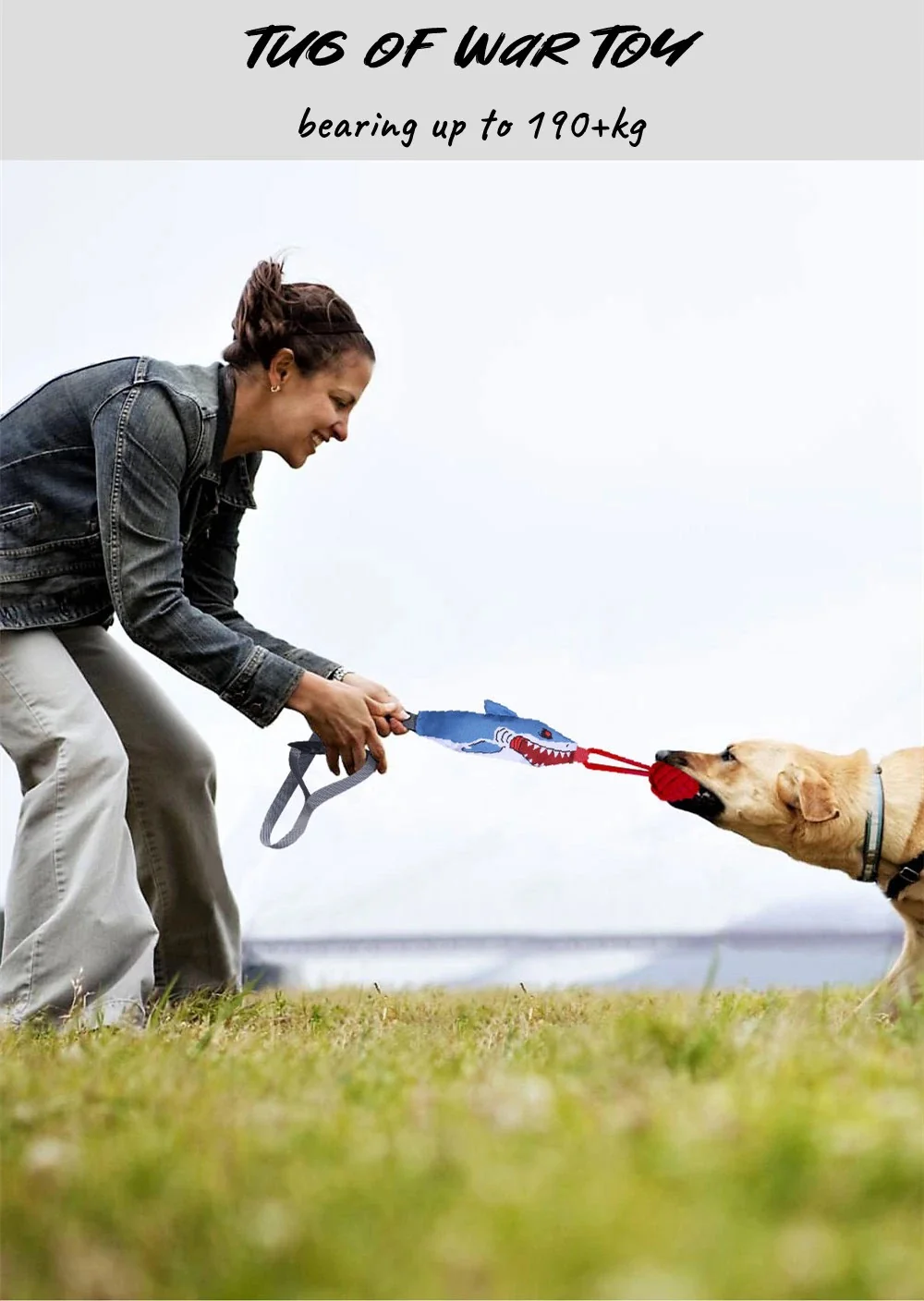 Interactive Tug-of-War Dog Toy with Squeaker - Image 3