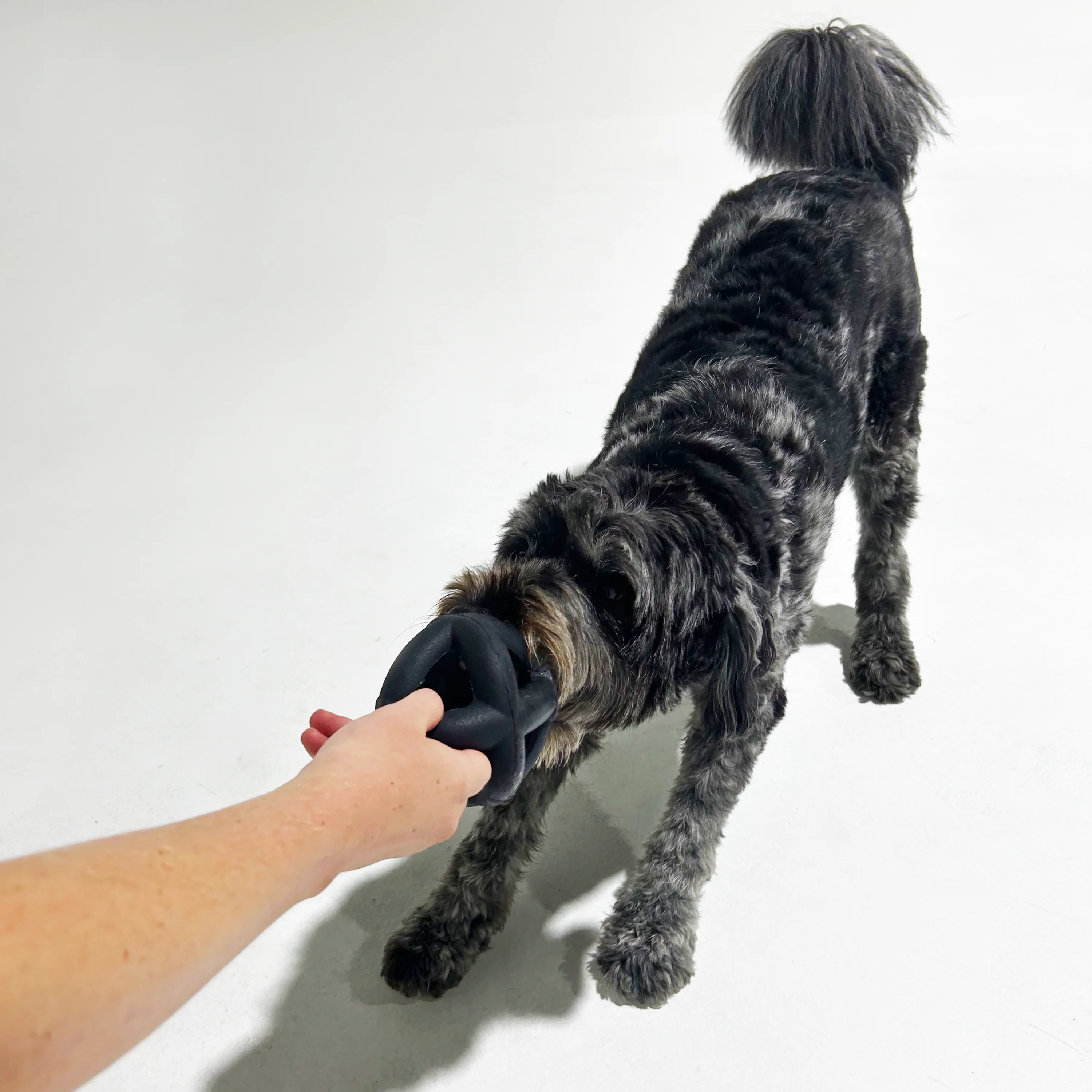 K9 Ultimate Chewer's Dog Toy Bundle - Image 3