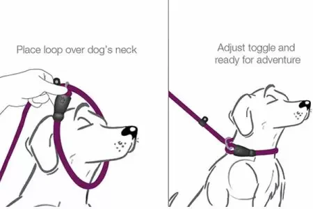 No-Pull Slip Lead - Blue Dog Training Leash - Image 10