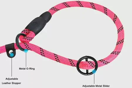 No-Pull Slip Lead - Blue Dog Training Leash - Image 5