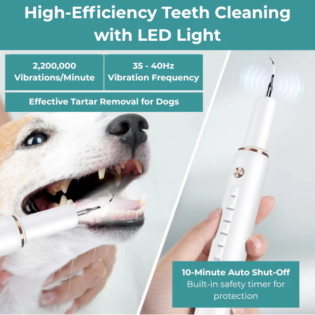 Pet Dental Plaque Remover Ultrasonic Cleaning Kit - Image 3