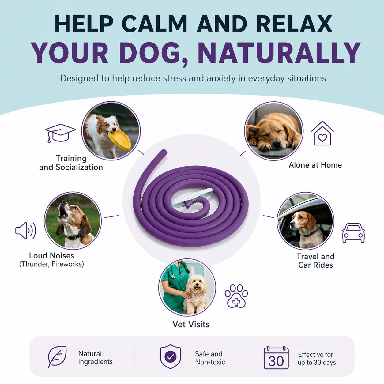 Purple Dog Anxiety Calming Collar - 2 pack - Image 3