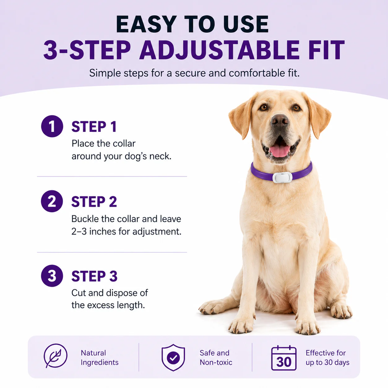 Purple Dog Anxiety Calming Collar - 2 pack - Image 4