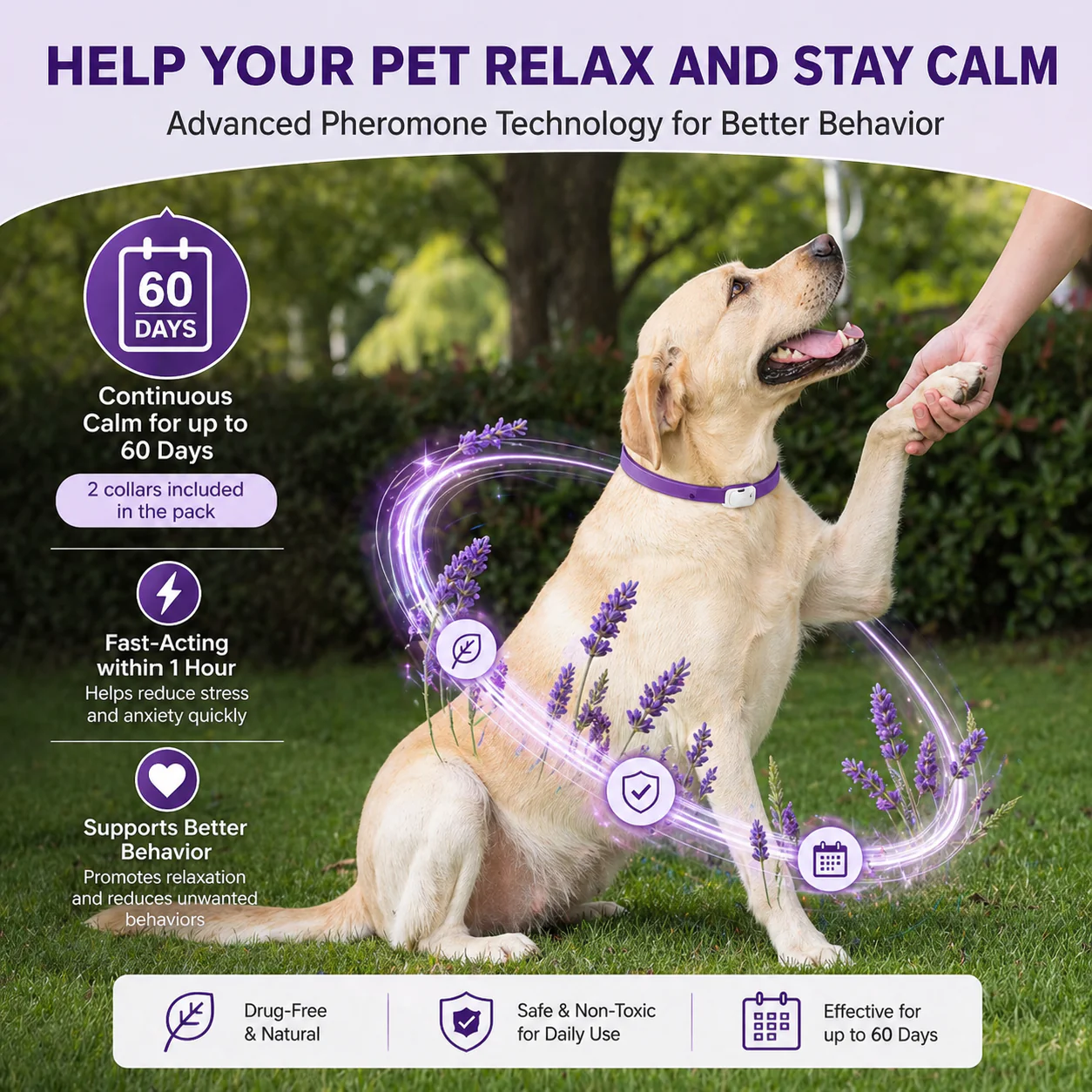 Purple Dog Anxiety Calming Collar - 2 pack - Image 5