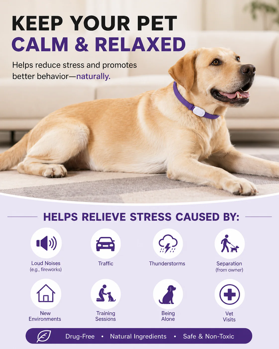 Purple Dog Anxiety Calming Collar - 2 pack - Image 6