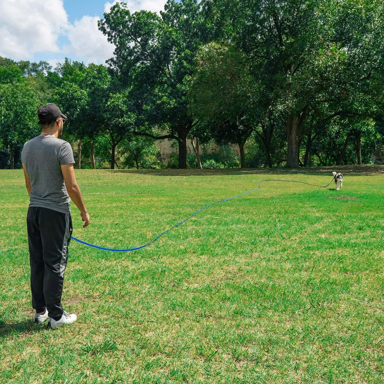 Dog Recall Training Leash - Image 16