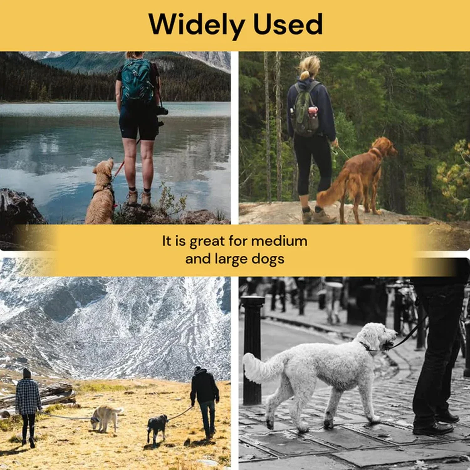 Dog Recall Training Leash - Image 8