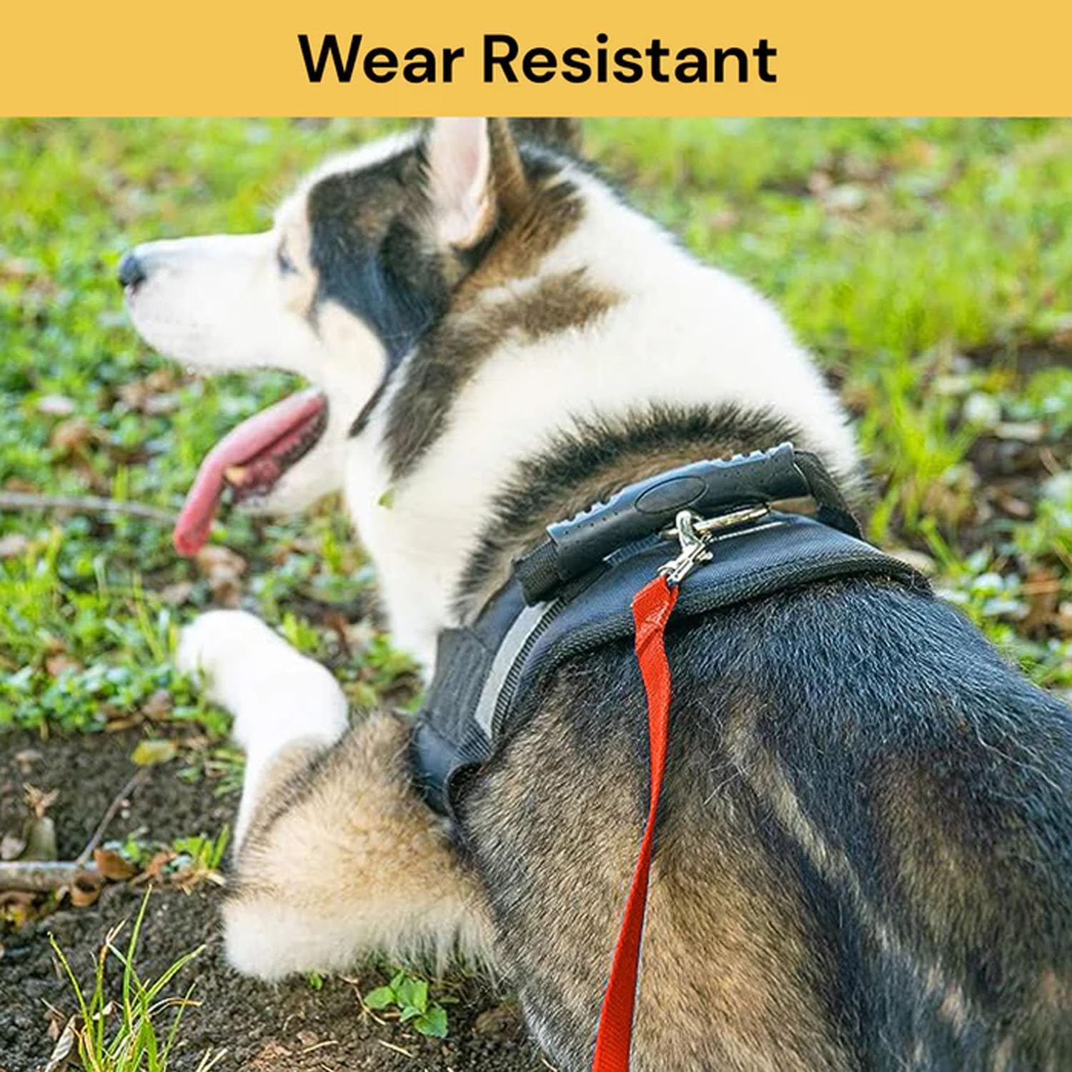 Dog Recall Training Leash - Image 9