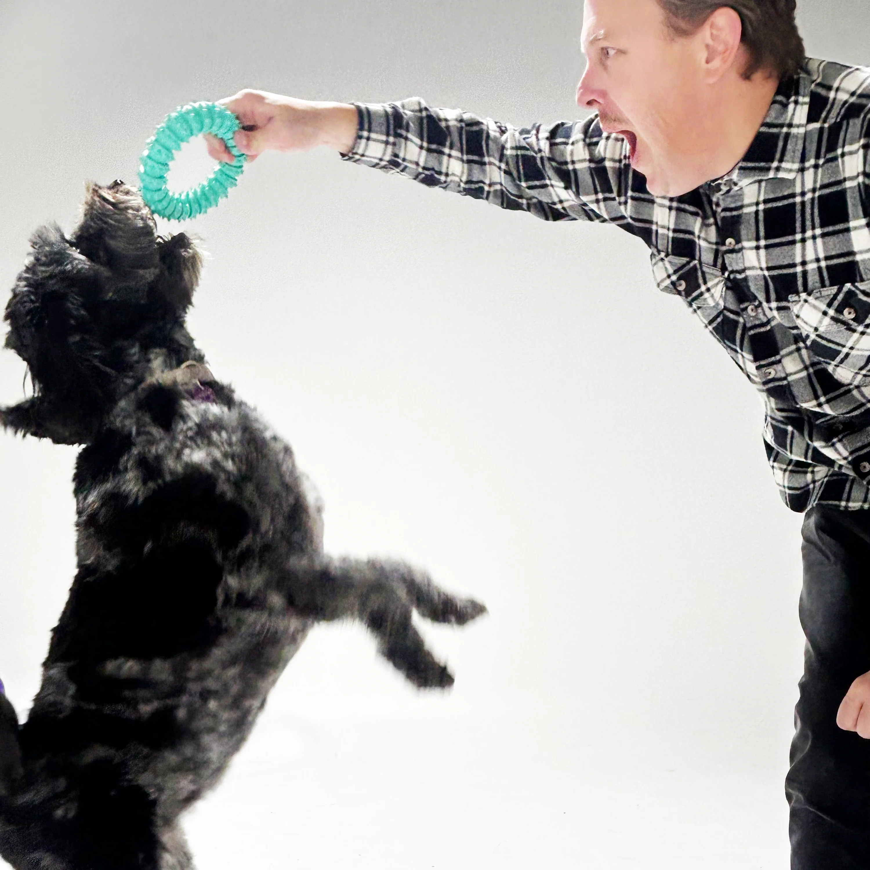 K9 Rubber Dental Dog Ring Toy - Large (15CM) - Image 3