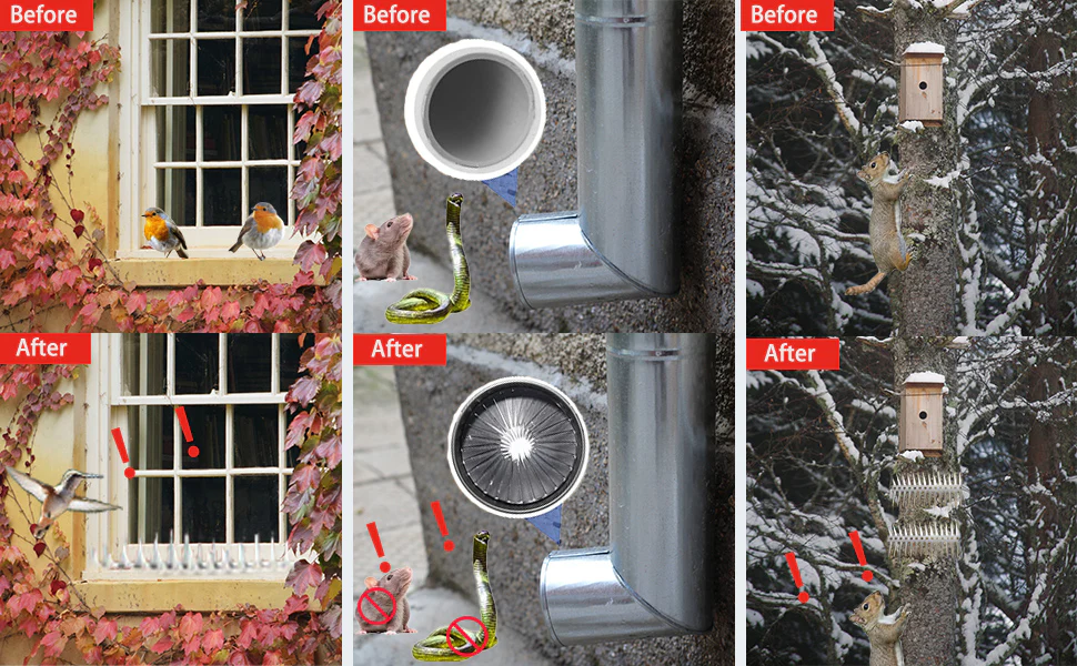 The Blockade Spikes - 100cm Stainless Steel Spikes for Possums, Birds & Cats - Image 9