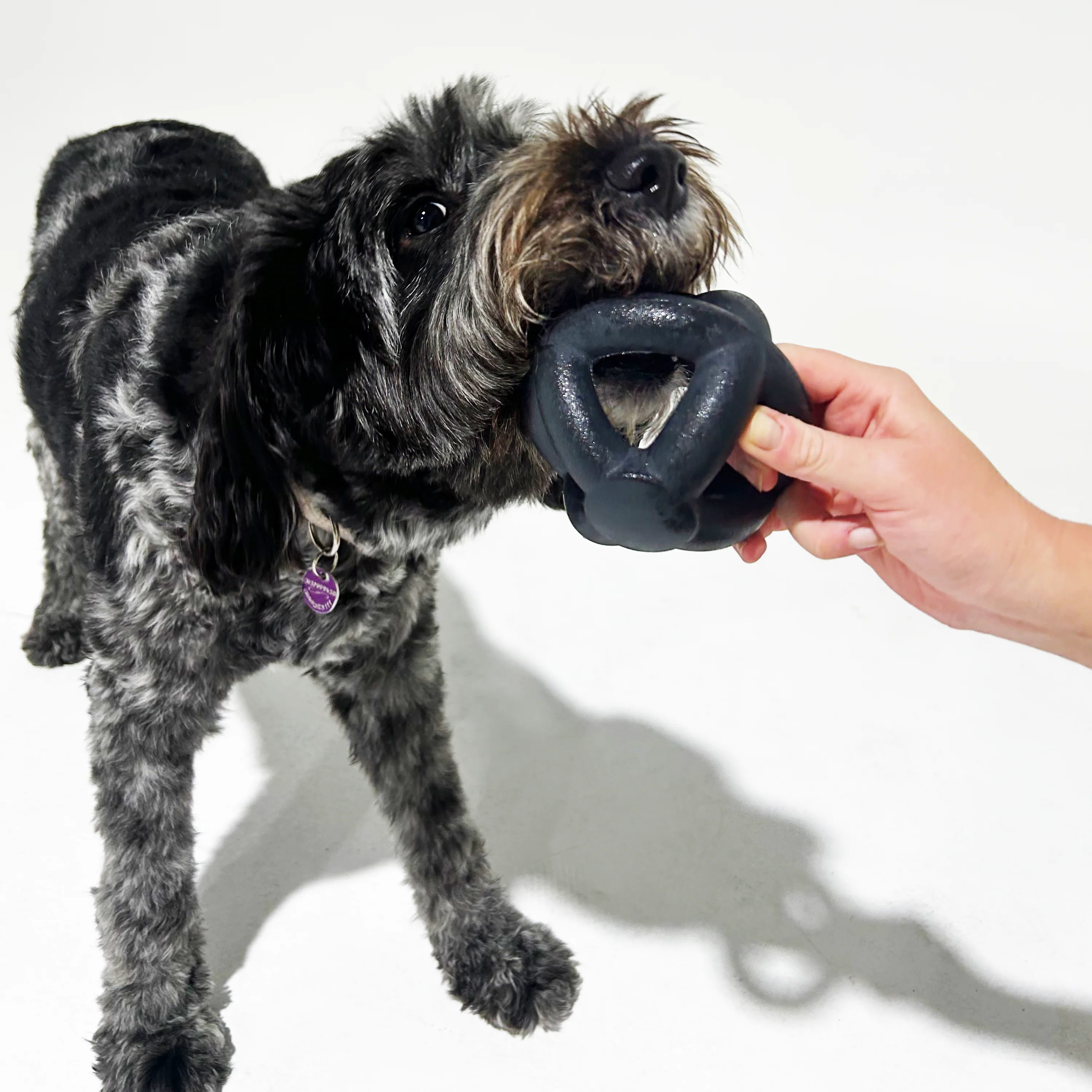 K9 Ultra-Durable Dog Ring Ball - Image 3