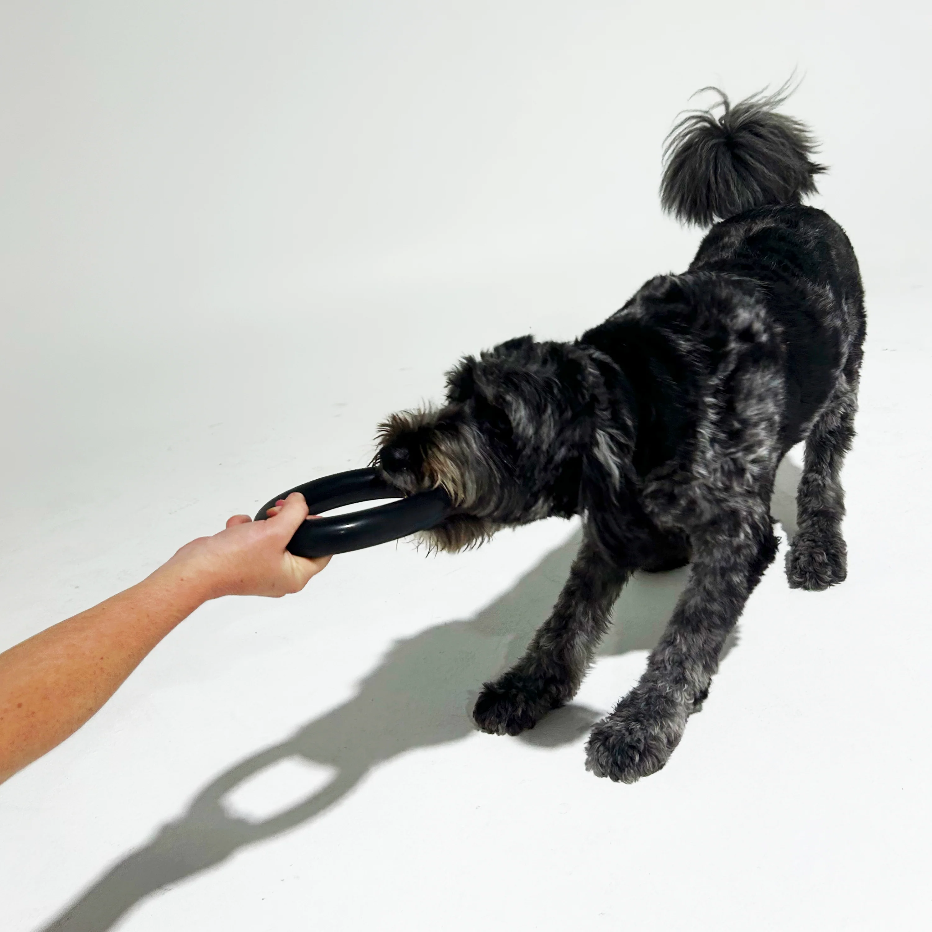K9 Dog Chew Toy Ring For Aggressive Chewer (Large) - Image 3